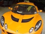 lotus 003.JPG