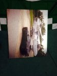 ImageUploadedByAG Free1405725370.336237.jpg