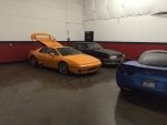 IMG_2230.jpg
