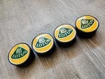 IMG_20200806_163603.jpg