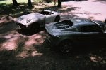 bug:lotus.jpg